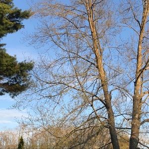 Meet your Posher, Becca